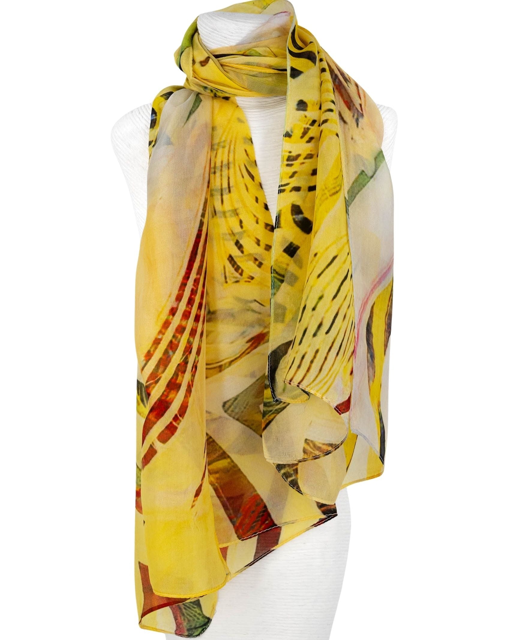 Immagine diapositiva