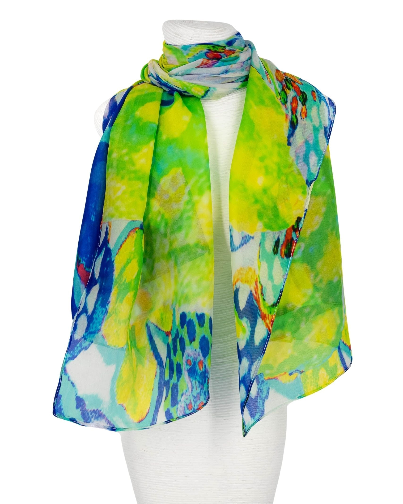 Immagine diapositiva