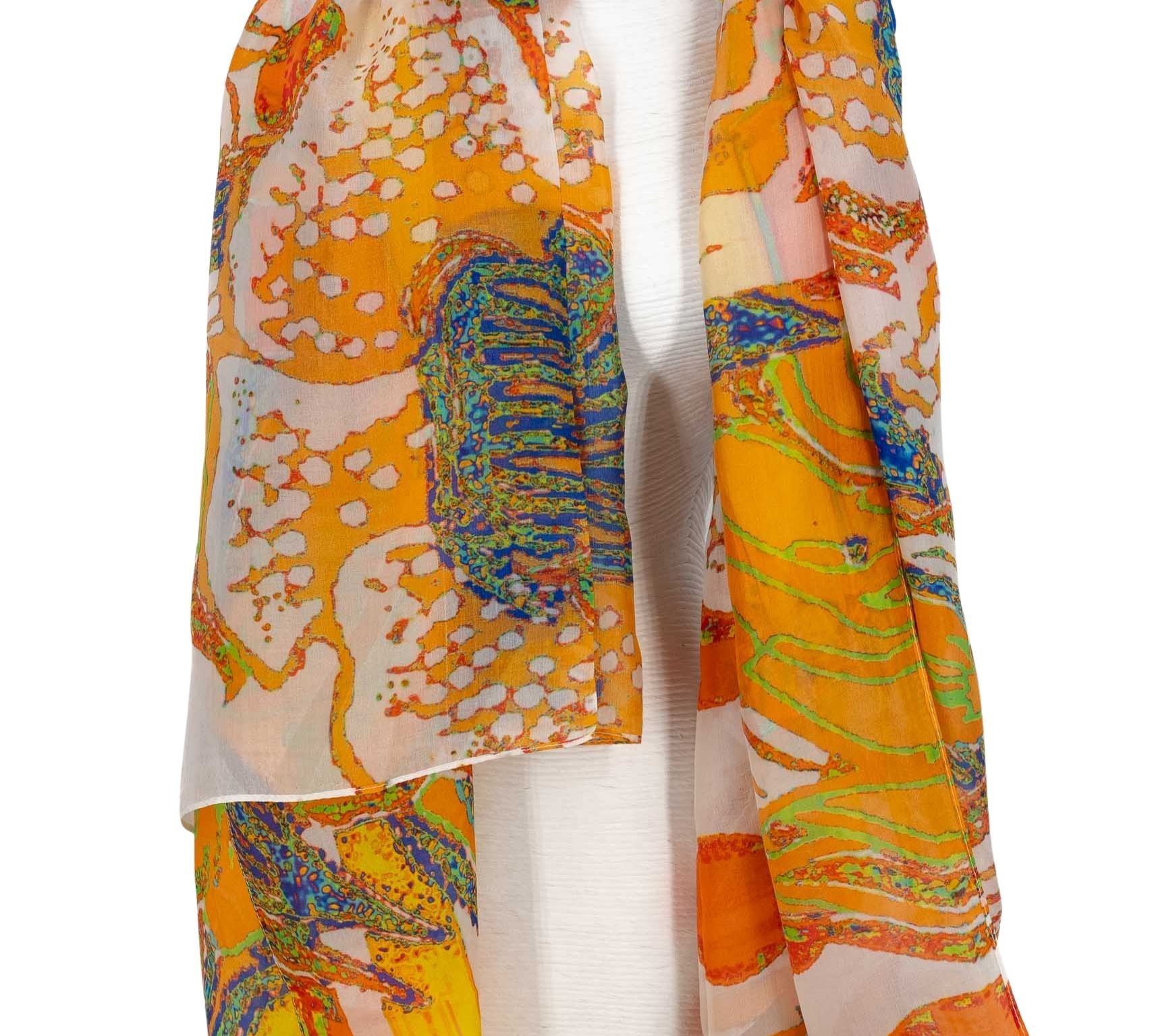 Immagine diapositiva