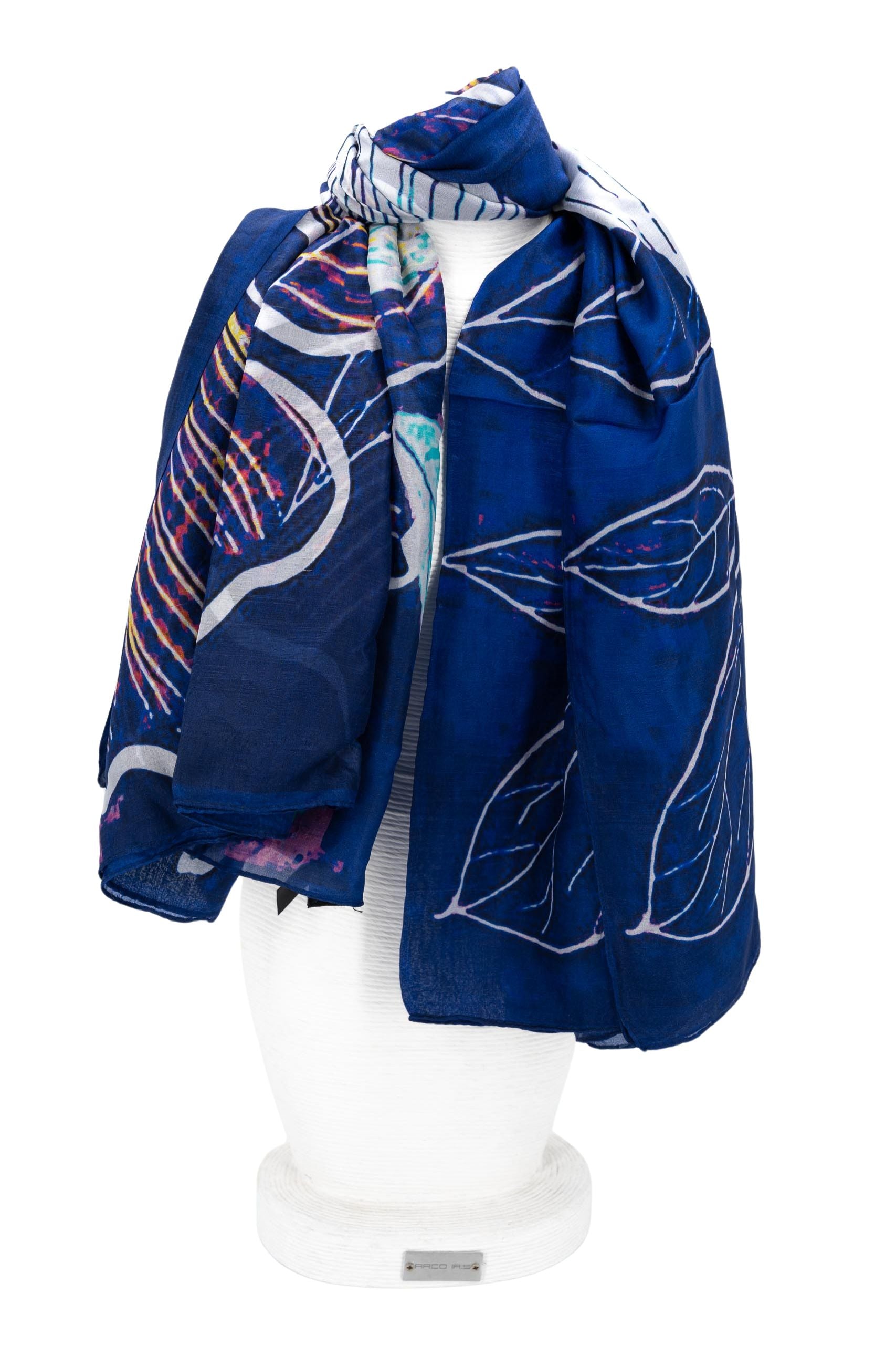 Immagine diapositiva