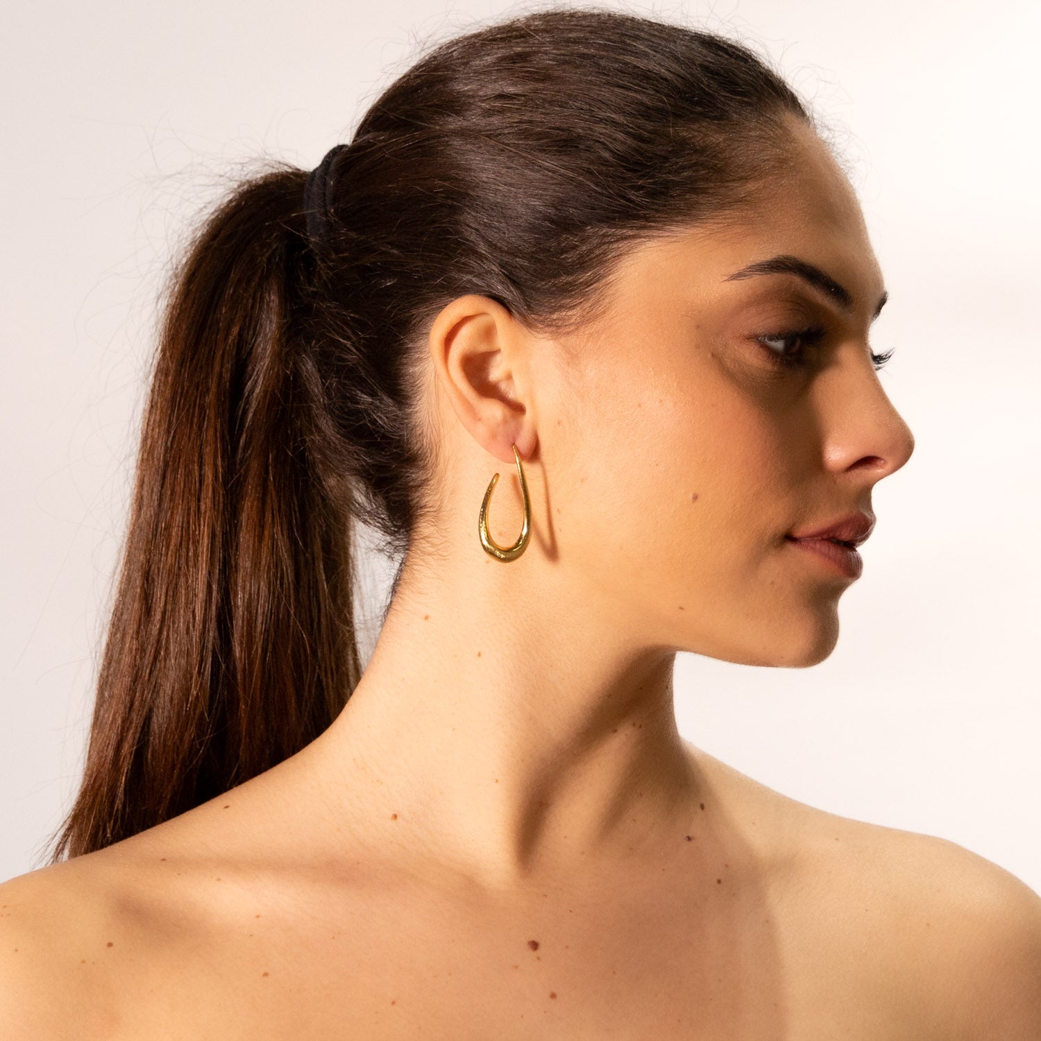 Immagine diapositiva