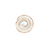 Anello chiocciola