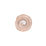 Anello chiocciola