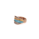 Anello fasce