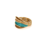 Anello fasce