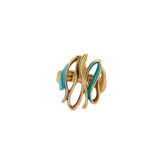 Anello curve