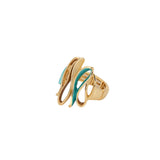 Anello curve