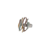 Anello curve