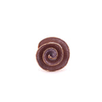 Anello chiocciola