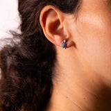 Turtle earrings 