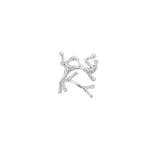 Anello ramo