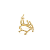 Anello ramo
